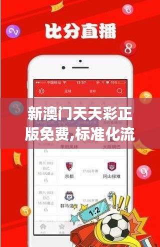新澳門天天彩正版免費,標準化流程評估_頂級版5.489
