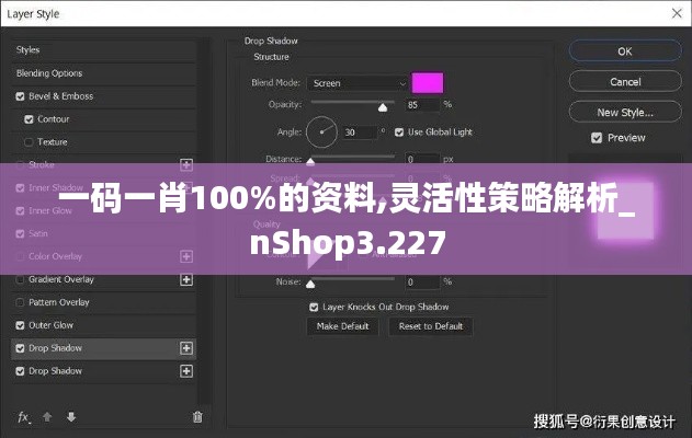 一碼一肖100%的資料,靈活性策略解析_nShop3.227