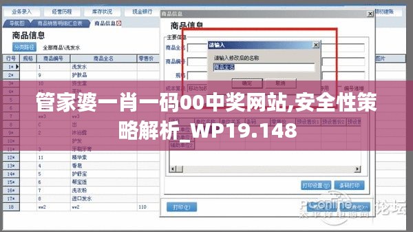 管家婆一肖一碼00中獎網站,安全性策略解析_WP19.148