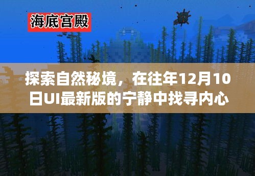 探索自然秘境，寧靜冬日之旅，找尋內心平和的旅程
