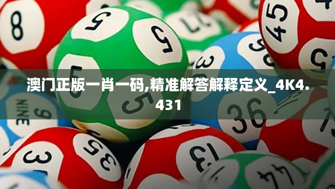 澳門正版一肖一碼,精準(zhǔn)解答解釋定義_4K4.431