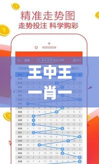 王中王一肖一特一中一MBA,實時解析說明_5DM3.491