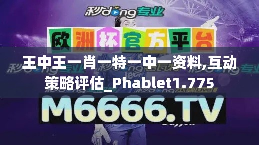 王中王一肖一特一中一資料,互動策略評估_Phablet1.775