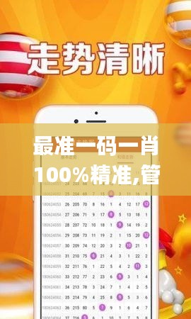 最準一碼一肖100%精準,管家婆大小中特,深入設計執行方案_戰略版7.354
