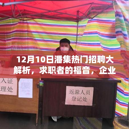潘集熱門招聘大解析，求職者的福音與企業招募良機（12月10日）