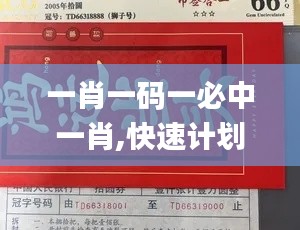 一肖一碼一必中一肖,快速計劃解答設計_精英版8.888