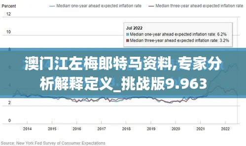 澳門江左梅郎特馬資料,專家分析解釋定義_挑戰(zhàn)版9.963