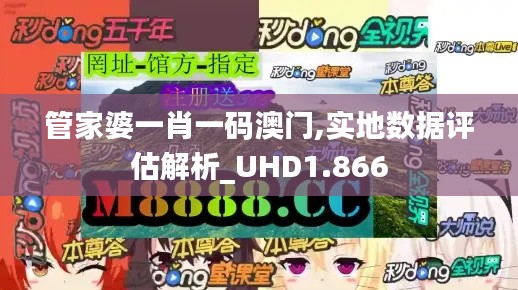 管家婆一肖一碼澳門,實地數據評估解析_UHD1.866