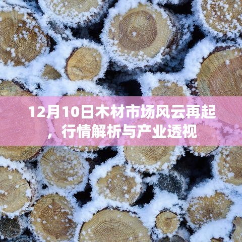 12月10日木材市場風云再起，行情解析與產(chǎn)業(yè)深度透視