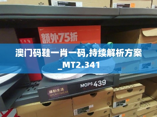 澳門碼鞋一肖一碼,持續(xù)解析方案_MT2.341