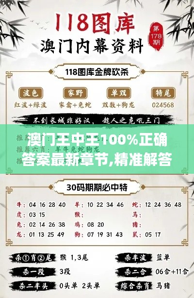 澳門王中王100%正確答案最新章節,精準解答解釋定義_創新版10.170