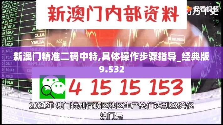 新澳門精準(zhǔn)二碼中特,具體操作步驟指導(dǎo)_經(jīng)典版9.532