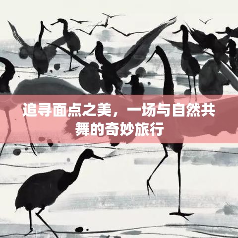飛蛾撲火 第2頁