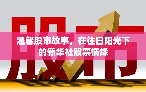 溫馨股市故事，新華社股票情緣與往日陽光下的情緣記