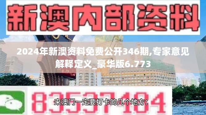 2024年新澳資料免費公開346期,專家意見解釋定義_豪華版6.773