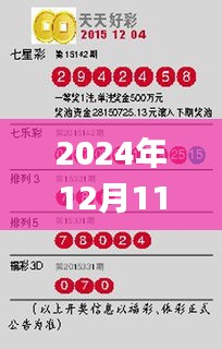 2024年12月11日2004新澳門天天開好彩,實地驗證數據計劃_薄荷版7.943