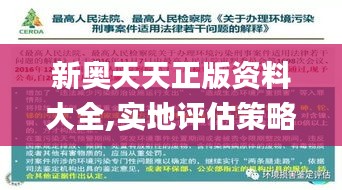 新奧天天正版資料大全,實地評估策略_復古款3.339