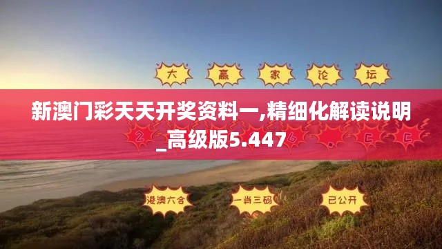新澳門彩天天開獎資料一,精細化解讀說明_高級版5.447