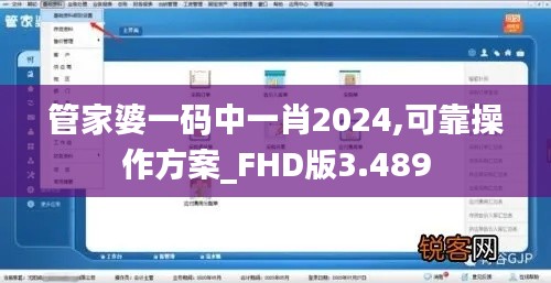 管家婆一碼中一肖2024,可靠操作方案_FHD版3.489