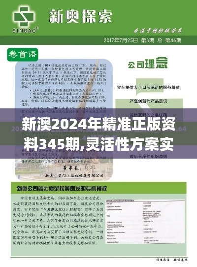 新澳2024年精準正版資料345期,靈活性方案實施評估_Windows12.519
