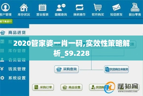 2020管家婆一肖一碼,實效性策略解析_S9.228