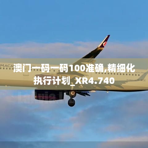 澳門一碼一碼100準(zhǔn)確,精細化執(zhí)行計劃_XR4.740