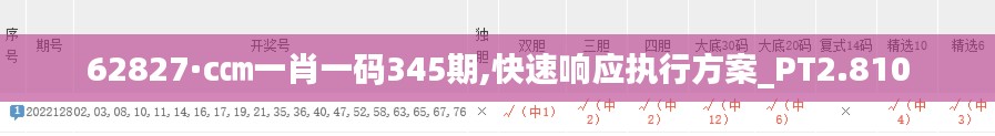 62827·c㎝一肖一碼345期,快速響應執行方案_PT2.810