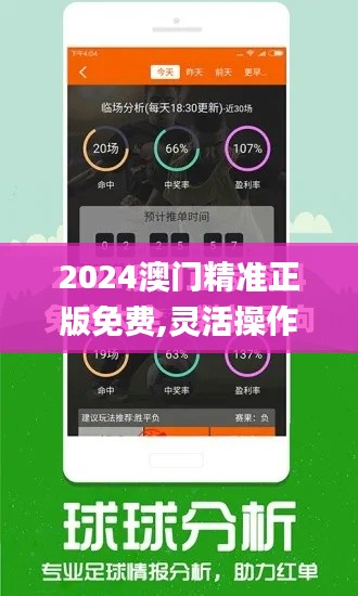 2024澳門精準正版免費,靈活操作方案設計_RemixOS5.747