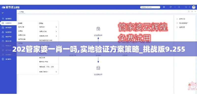 202管家婆一肖一嗎,實地驗證方案策略_挑戰版9.255