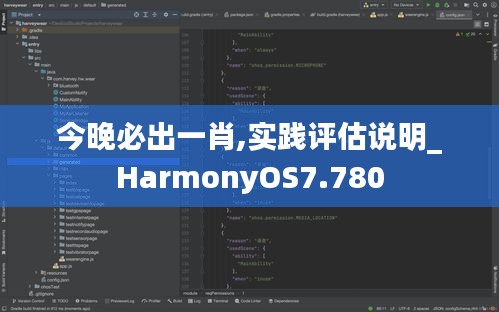 今晚必出一肖,實踐評估說明_HarmonyOS7.780