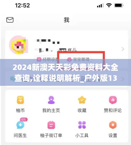 2024新澳天天彩免費資料大全查詢,詮釋說明解析_戶外版13.268