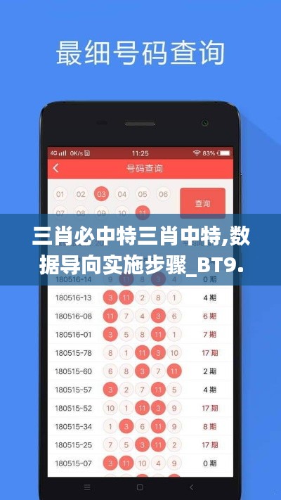 三肖必中特三肖中特,數據導向實施步驟_BT9.966