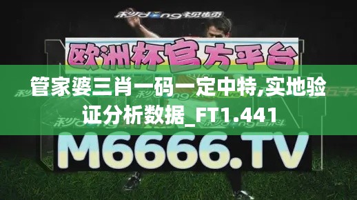 管家婆三肖一碼一定中特,實地驗證分析數(shù)據(jù)_FT1.441