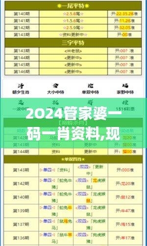 2O24管家婆一碼一肖資料,現狀分析解釋定義_安卓1.563
