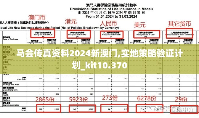 馬會傳真資料2024新澳門,實地策略驗證計劃_kit10.370