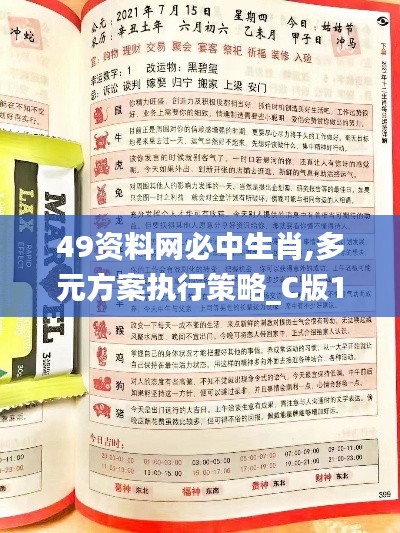 49資料網必中生肖,多元方案執行策略_C版110.165