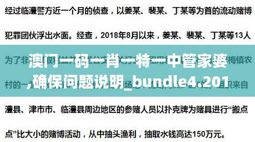 澳門一碼一肖一特一中管家婆,確保問題說明_bundle4.201