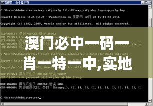 澳門必中一碼一肖一特一中,實地數據分析計劃_Phablet7.337