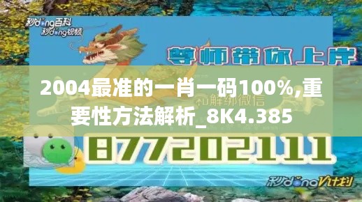 2004最準的一肖一碼100%,重要性方法解析_8K4.385