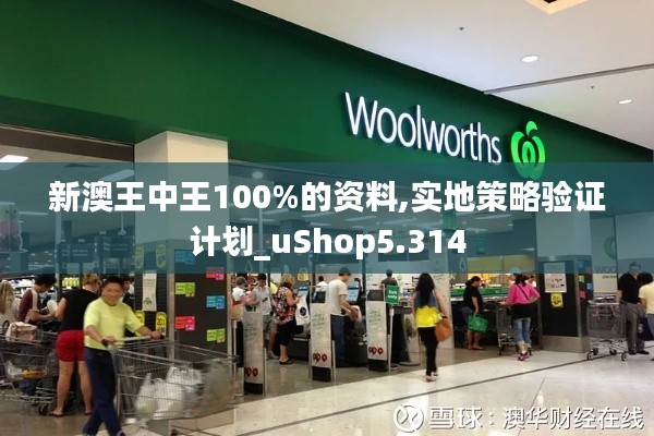 新澳王中王100%的資料,實地策略驗證計劃_uShop5.314