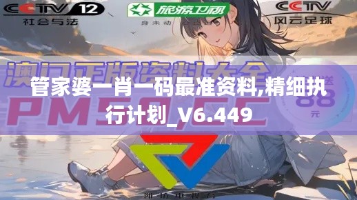 管家婆一肖一碼最準資料,精細執行計劃_V6.449