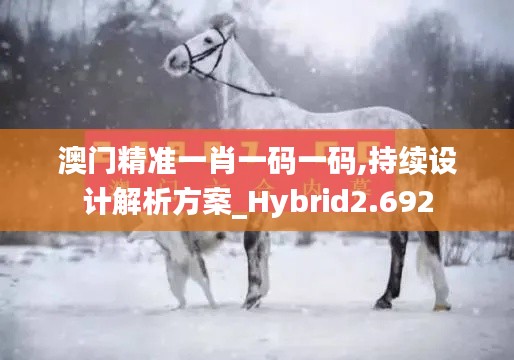 澳門精準一肖一碼一碼,持續設計解析方案_Hybrid2.692