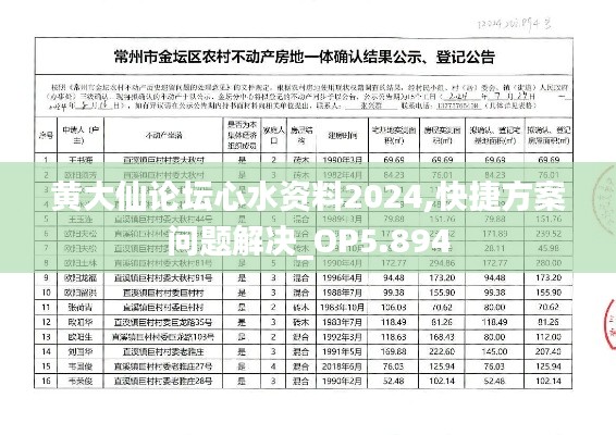 黃大仙論壇心水資料2024,快捷方案問題解決_OP5.894