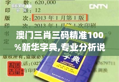 澳門三肖三碼精準100%新華字典,專業分析說明_UHD版3.382