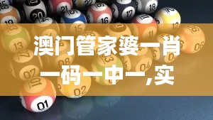 澳門管家婆一肖一碼一中一,實地考察分析數據_Gold3.300