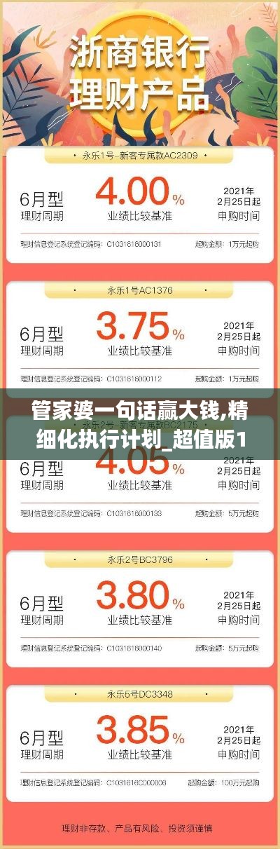 管家婆一句話贏大錢,精細化執行計劃_超值版11.947