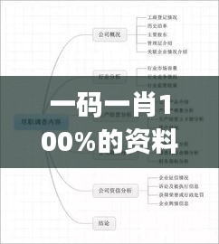 一碼一肖100%的資料,定性評估解析_戰斗版2.277