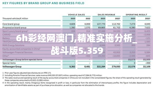 6h彩經網澳門,精準實施分析_戰斗版5.359