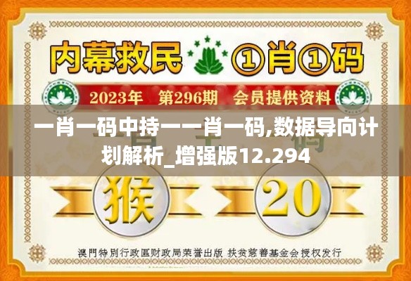 一肖一碼中持一一肖一碼,數據導向計劃解析_增強版12.294