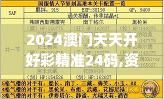 2024澳門天天開好彩精準(zhǔn)24碼,資源整合策略_復(fù)刻版15.719